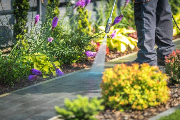 Best Dumpster Area Cleaning  in Signal Hill, CA