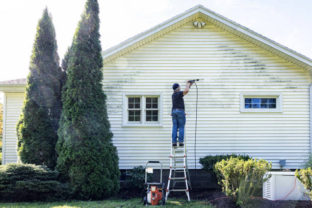 Best Patio and Deck Pressure Washing  in Signal Hill, CA